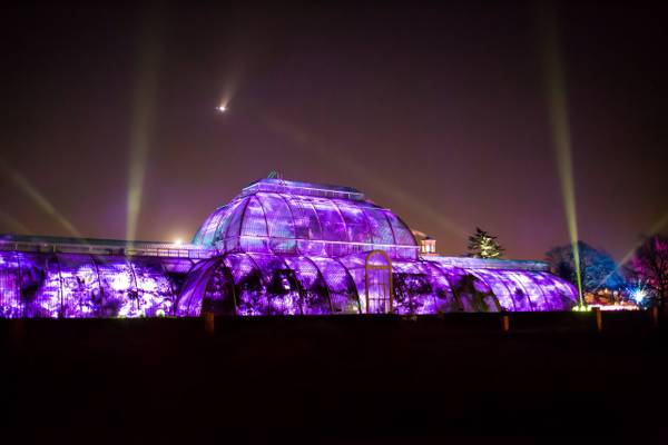 Kew Gardens at night