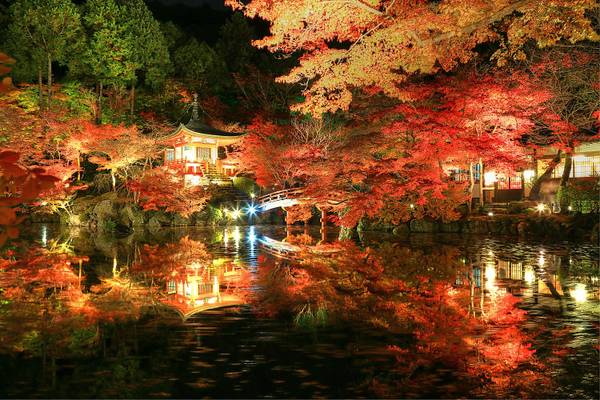 Daigoji Momiji