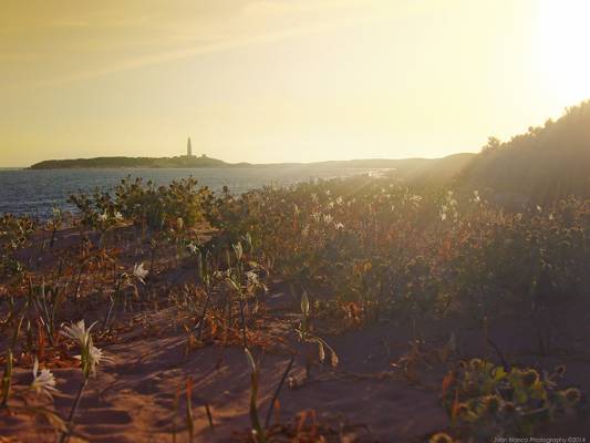 Atardecer en Los Caños de Meca. Cádiz