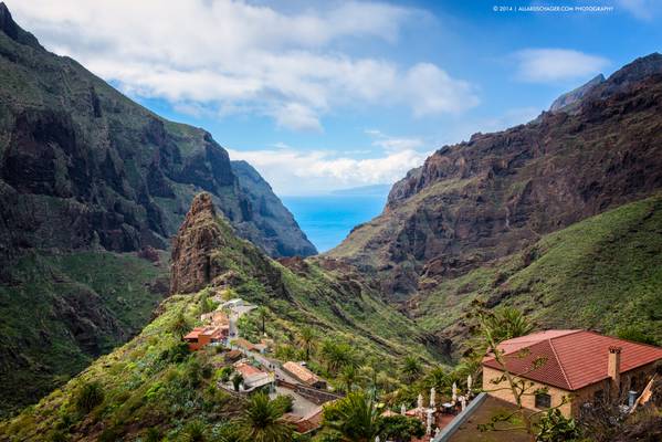 Tenerife Treasure