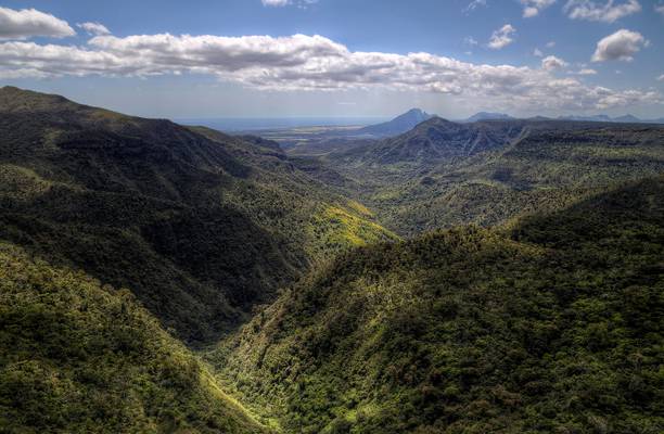 Panorama of Black River Gorges National Park  [MR]