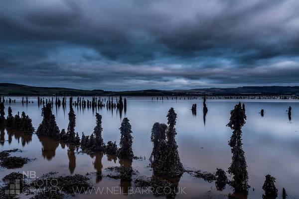 Clyde timber ponds, Port Glasgow