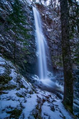 Plodda Falls