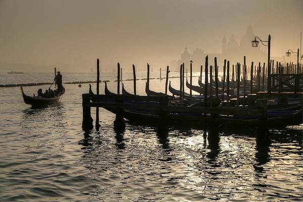 Venetian Mist