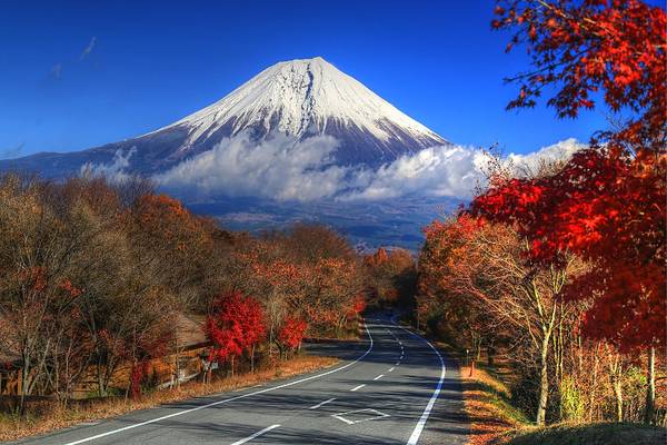 The Road to Fuji