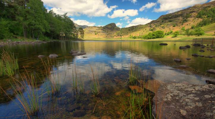 Blea Tarn
