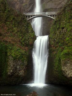 Lower Multnomah Falls & Bridge