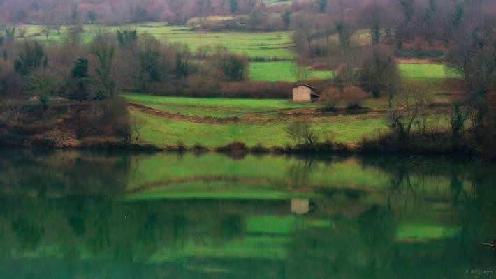 Reflejado