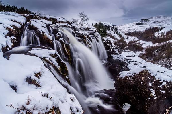 Loup of Fintry