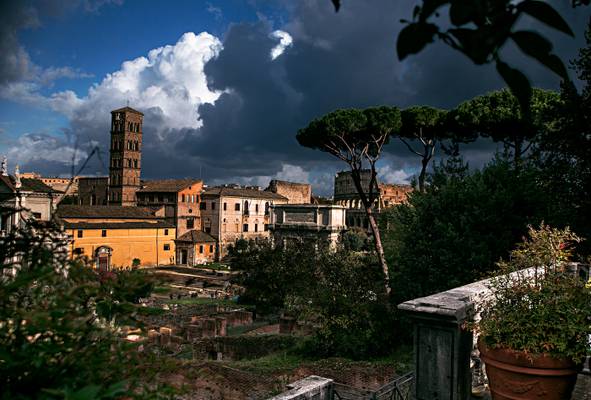 View from Palatine