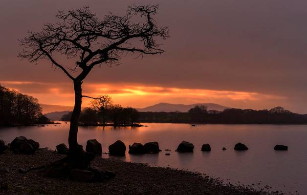 One Beautiful Setting