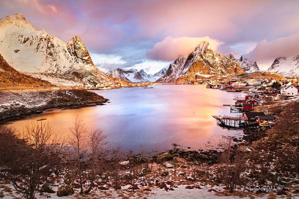 Good morning Reine!
