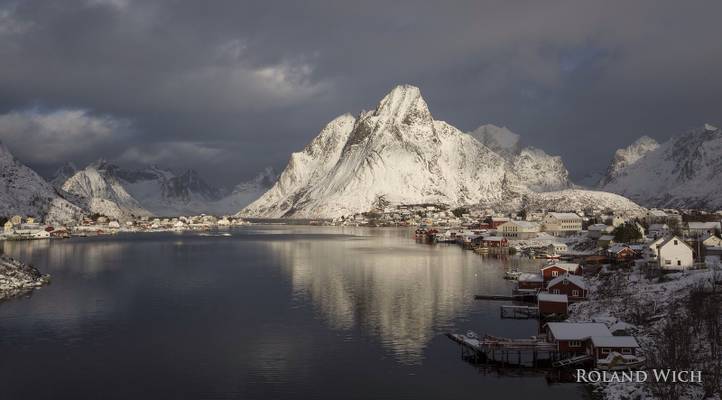 Reine