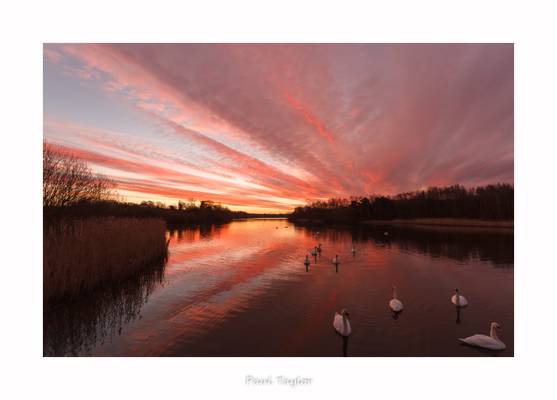 Fair Dawn at Fairburn