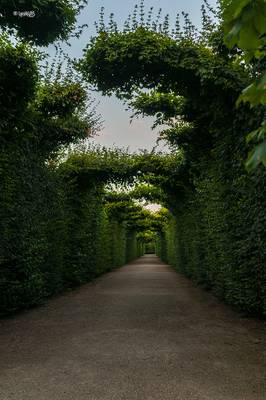 Schönbrunn Palace