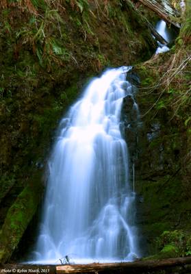 Fern Rock Falls