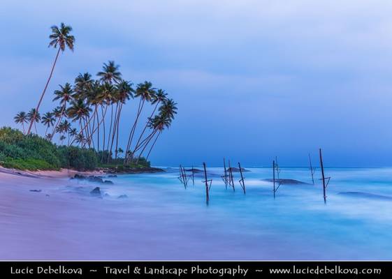 Sri Lanka - Weligama - Fishing town on southern coast along the Indian Ocean - Stilt Fisherman location at dusk - Twilight - Blue hour