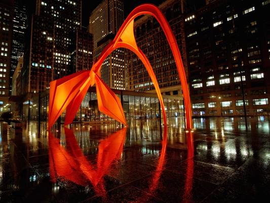 Flamingo Reflections