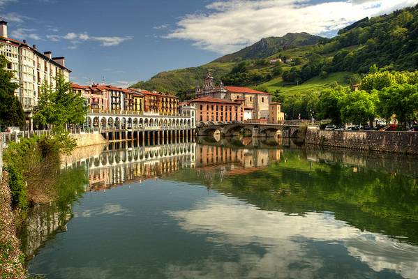 Calm Green Tolosa