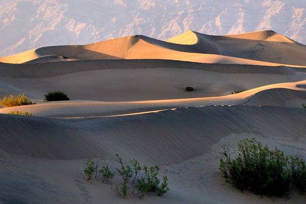 Mesquite Dunes - Death Valley, California