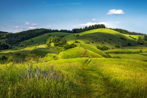 Somewhere over the Hills