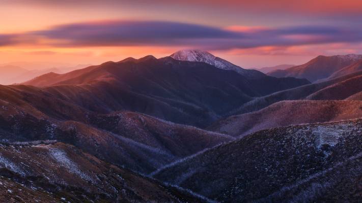 Warming the feathertop