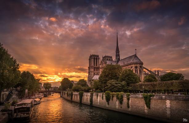 Notre Dame Sunset