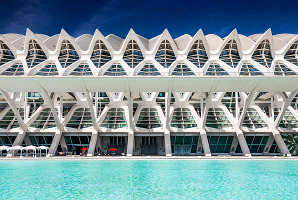 _MG_3361_web - Red asymmetry