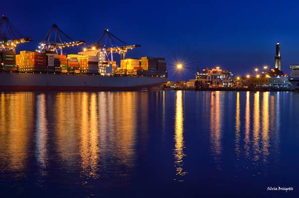 Harbour Lights