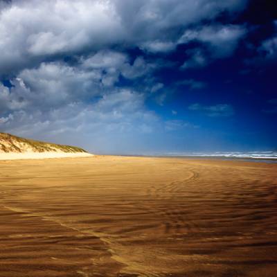 Dune on 90 Mile Beach