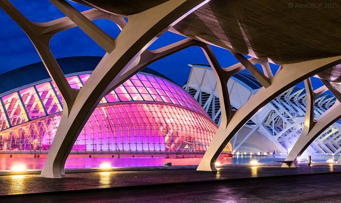 _MG_3401_web3 - the Red EYE