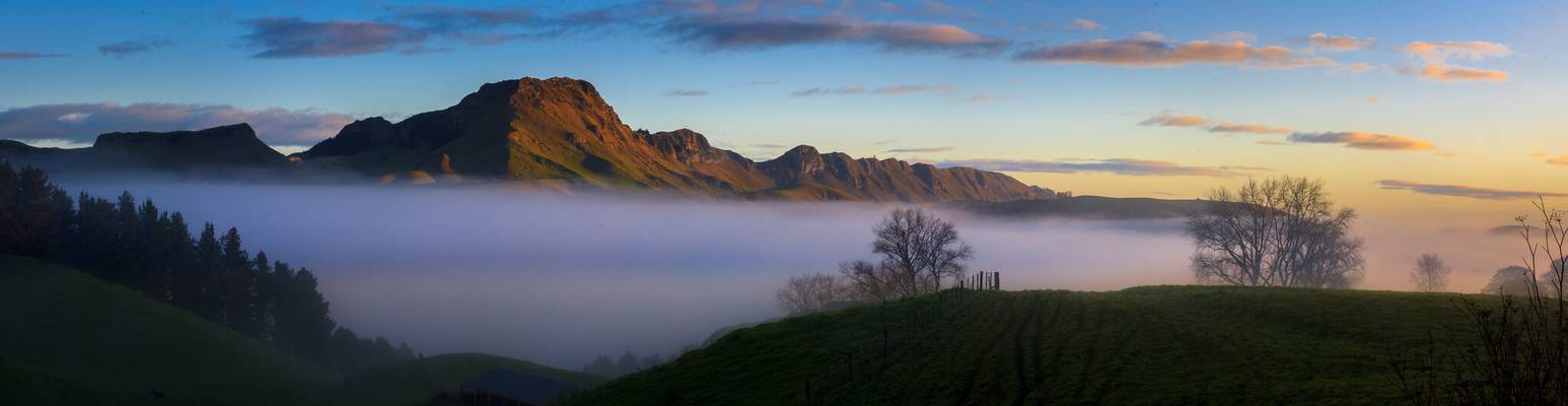 Early morning mist and Te Mata Peak