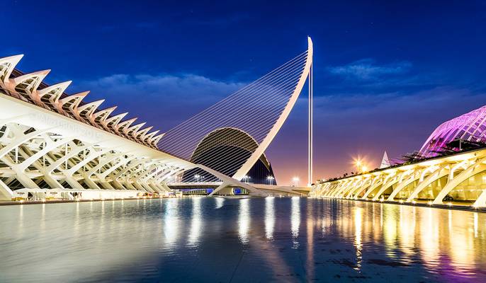 _MG_3410_web - Top Secret: a Pluto colony