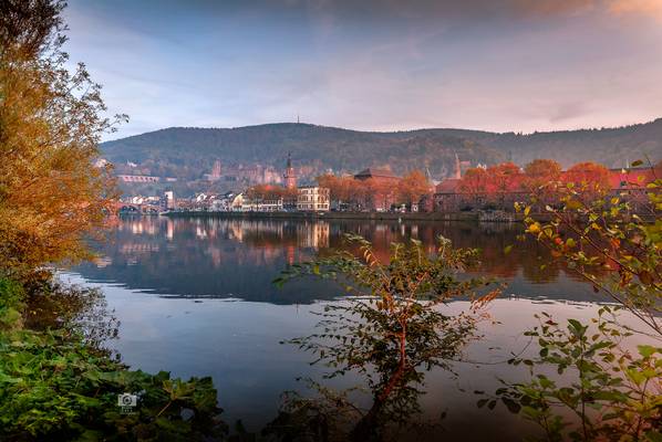 Autumn mood Heidelberg