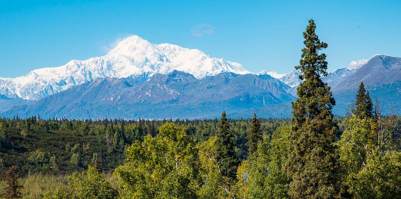 Mt. Denali