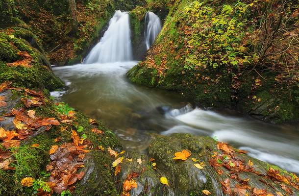 Autumn Cascade