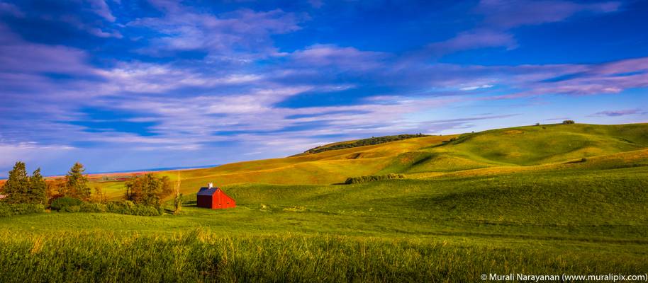 Blaine Red Barn