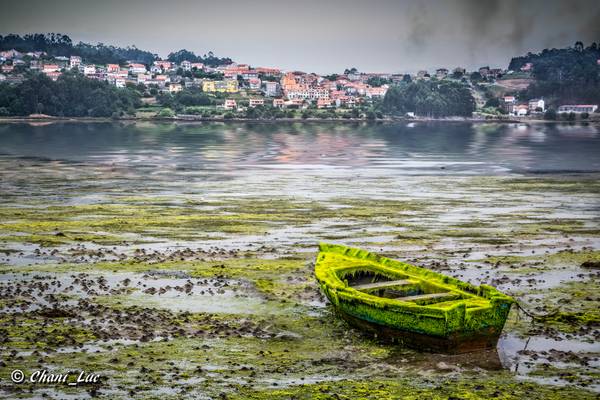 La barca...