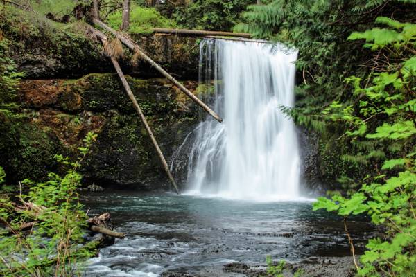 Upper North Falls, Waterfalls, Oregon