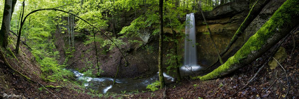 Vallon vert II