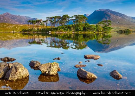 Ireland - Connemara National Park - Derryclare Lough Lake & Iconic Pine Trees Island