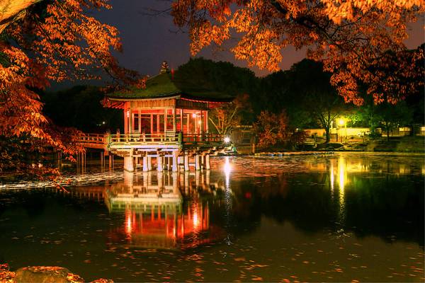 Autumn in Nara