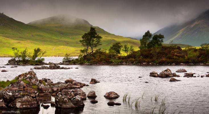 Of wet and of wilderness