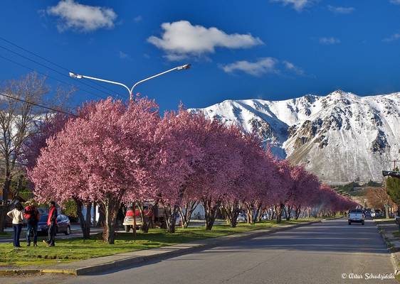 Esquel