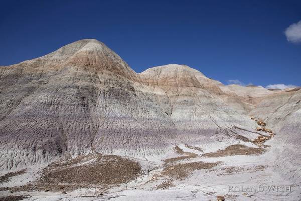 Painted Desert