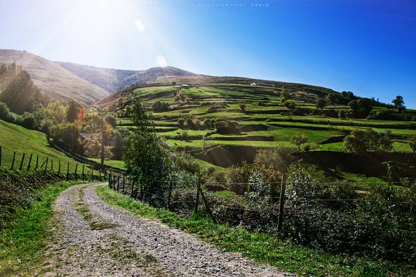 Carmona | Cantabria | 2016