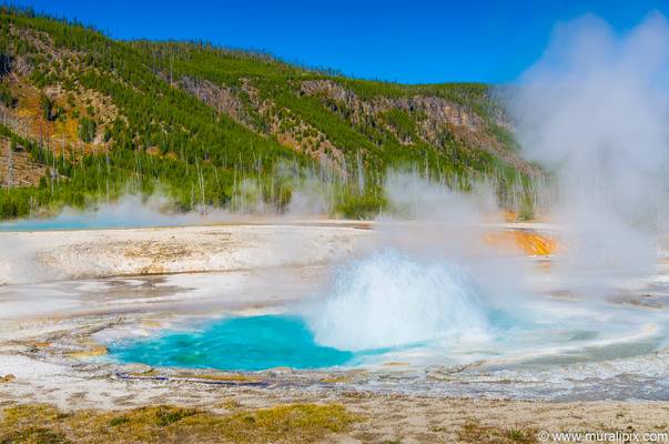 Sprouter Geyser