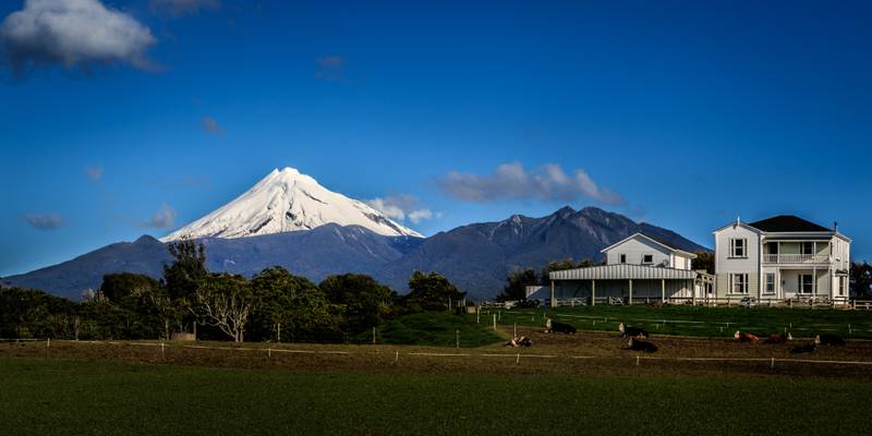 Farm and Mount Taranaki
