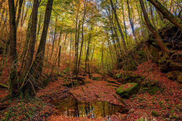 La Vall d'en Bas, Catalonia, Spain