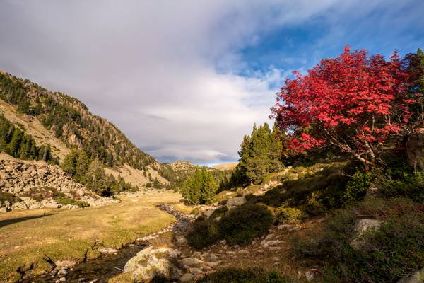 Madriu Valley, Pyrenees, Andorra